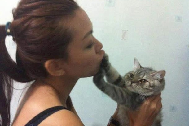 Cats Who Prove Why They Aren't Considered Man's Best Friend