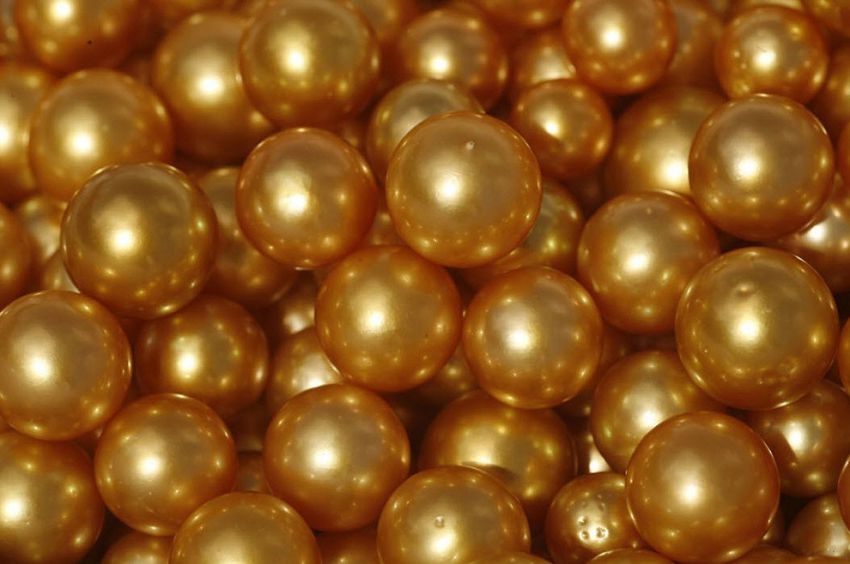 Golden Pearl Farming In Philippines