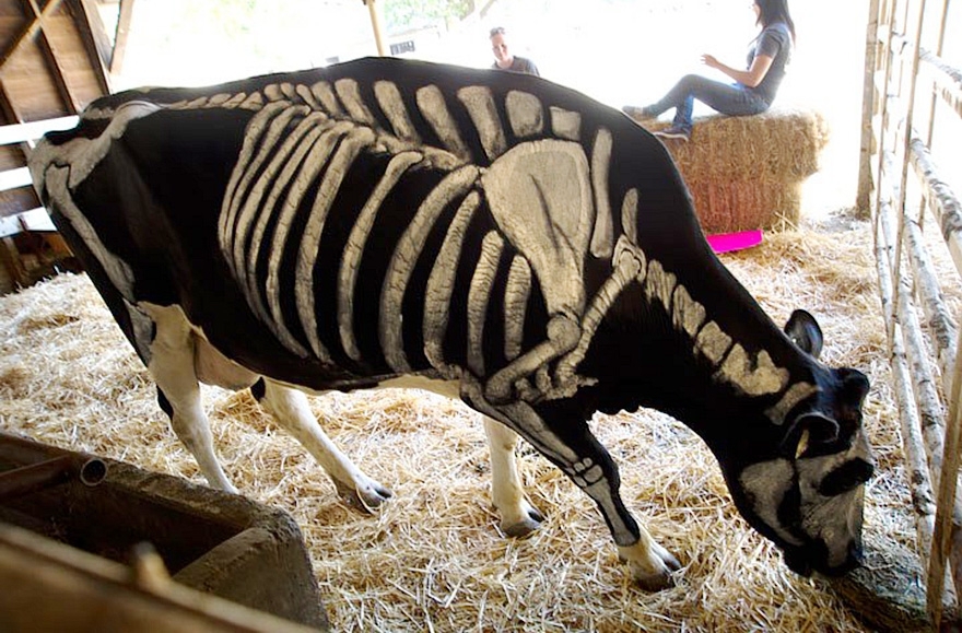 Non-Toxic Face Paint To Turn Your Animals Into Creepy Skeletons 