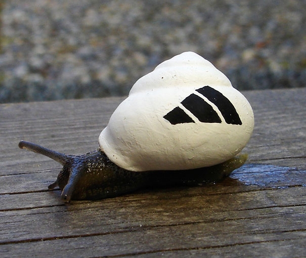 Pimp out snails' shells