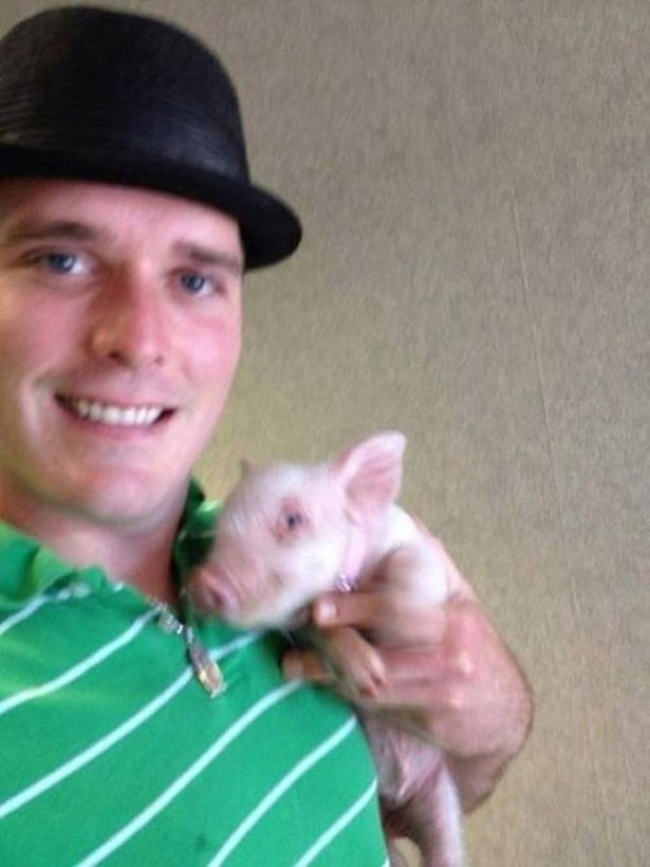  This Little Mini-Pig Grew Into a Big Cutie.