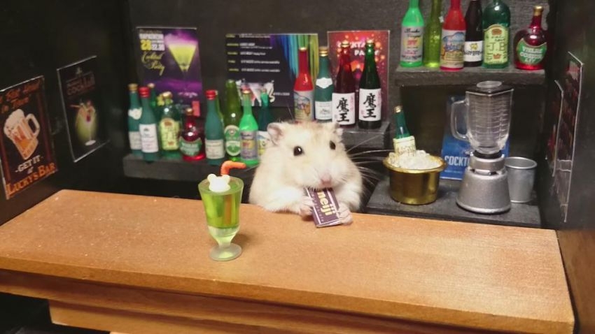 You Will Want to Be a Regular at This Adorable Bar