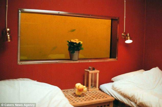  You'll Be Sleeping With the Fishes at This Hotel