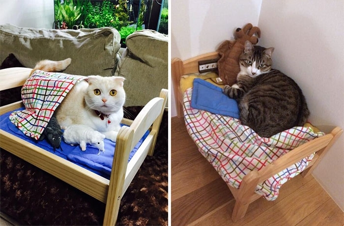 Japanese Cat Owners Turn Doll Beds Into Adorable Cat Beds