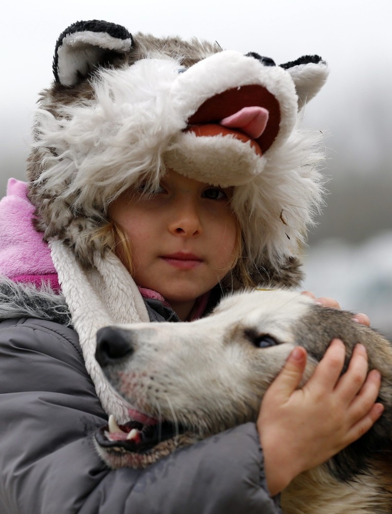 A Sled Dog European Championship in Hungary