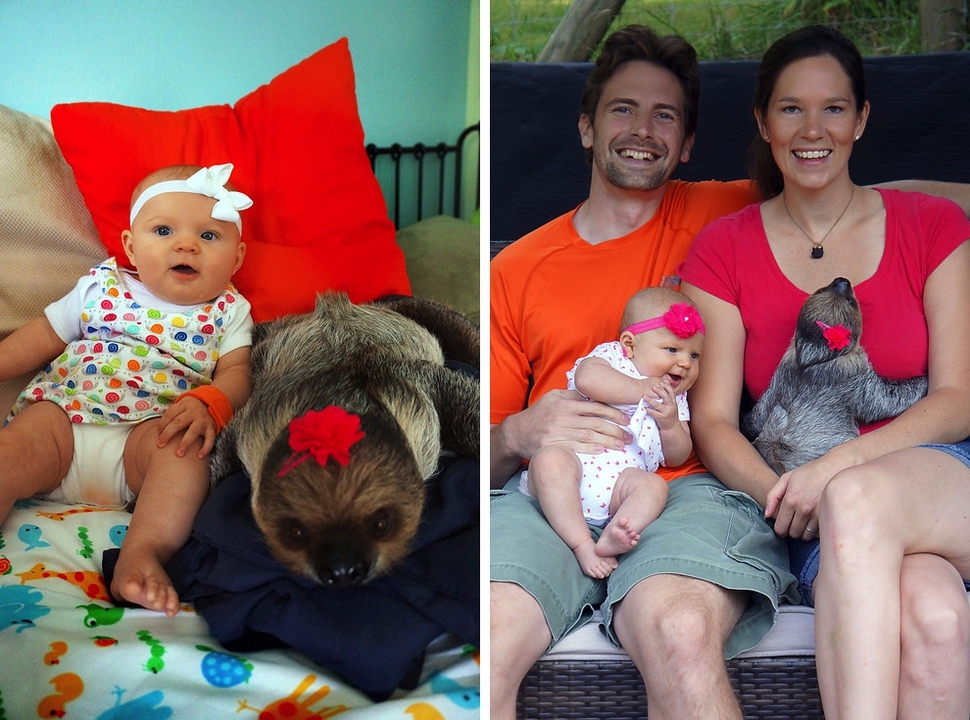 Adorable 5-Month-Old Baby And A Sloth Are Inseparable Friends