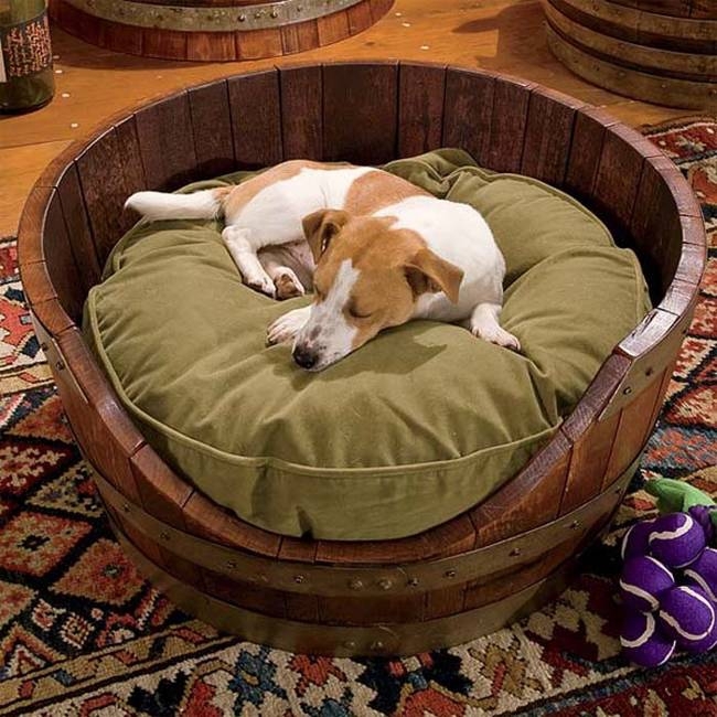  These DIY Funky Pet Beds Are Totally Worthy