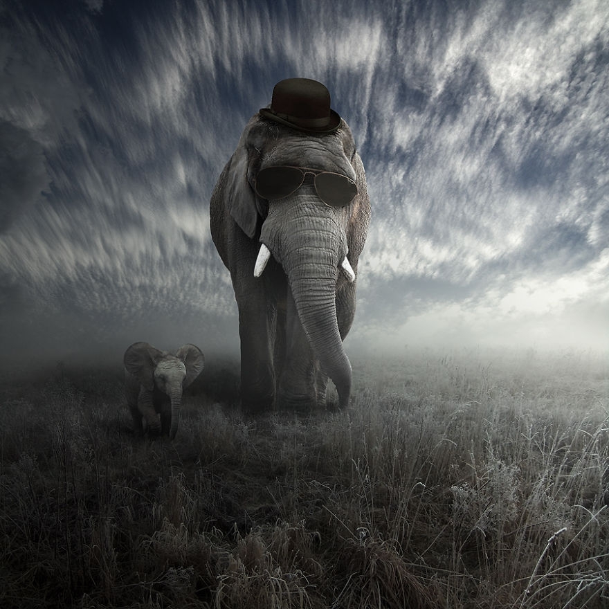 Surreal Portraits Of Animals Traveling The Earth