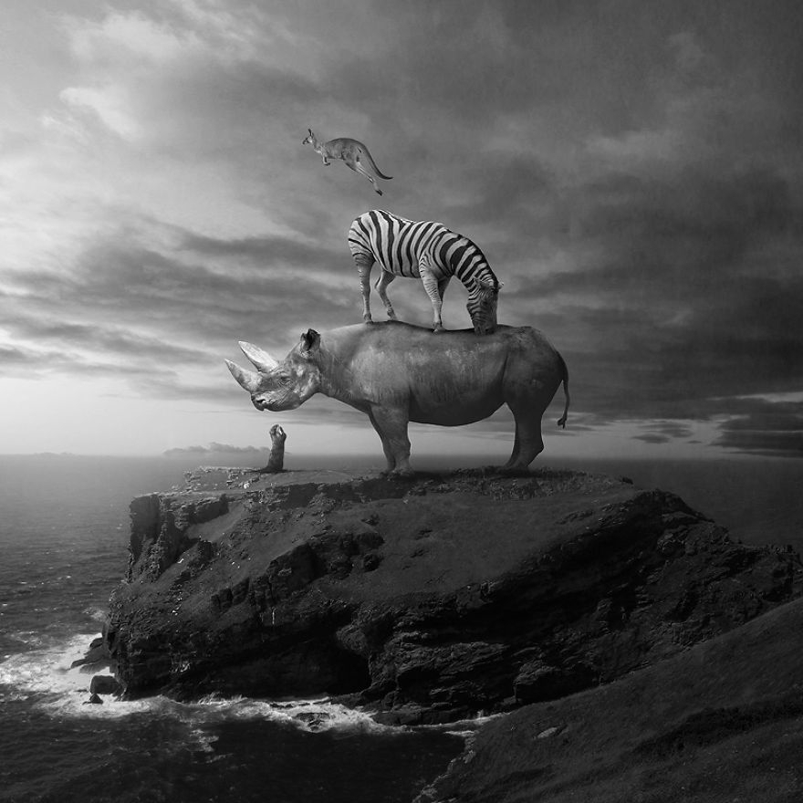 Surreal Portraits Of Animals Traveling The Earth