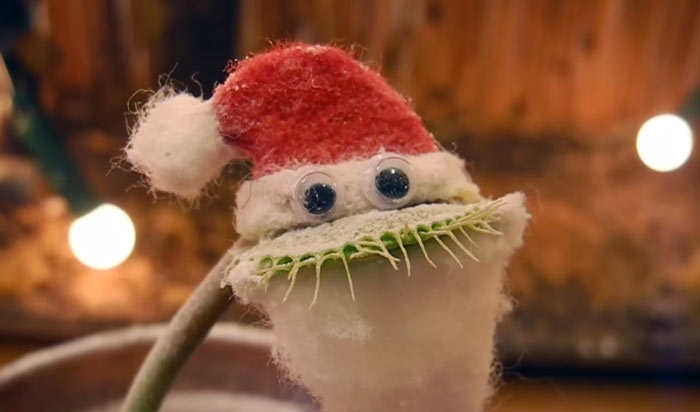 Venus Flytrap Dresses Up As Santa To Wish You A Merry Christmas