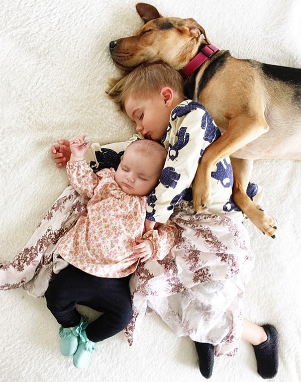 Famous Napping Boy And Puppy Duo Gets A New Nap Friend – A Baby Sister
