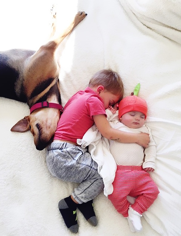 Famous Napping Boy And Puppy Duo Gets A New Nap Friend – A Baby Sister