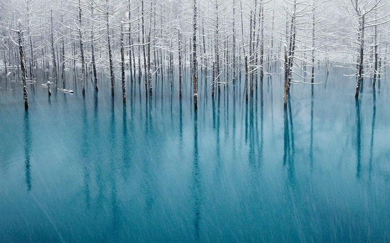 The Magnificent Pond in Hokkaido