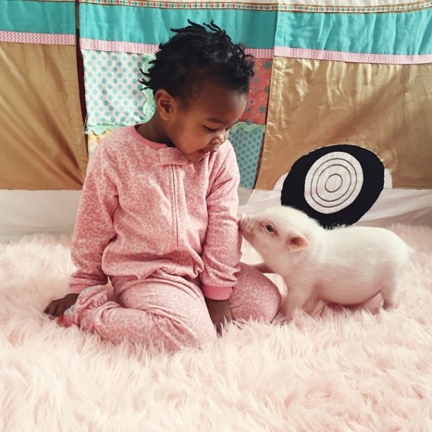 The Heartmelting Friendship Of A 2-Year-Old Girl And Her Piglet
