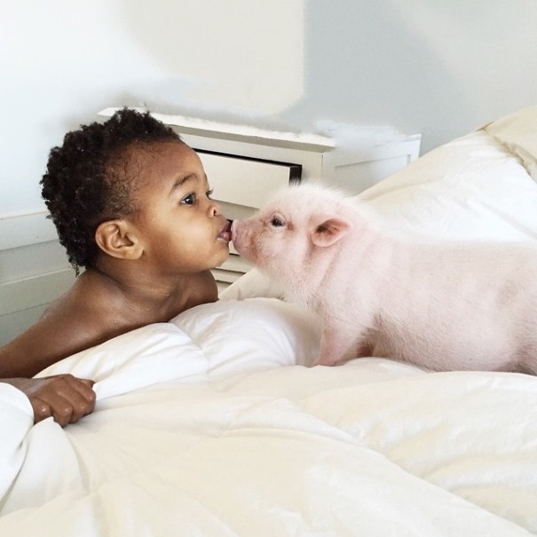 The Heartmelting Friendship Of A 2-Year-Old Girl And Her Piglet