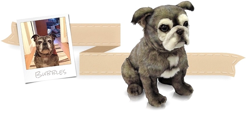 This Website Will Make A Plush Toy Of Your Dead Pet