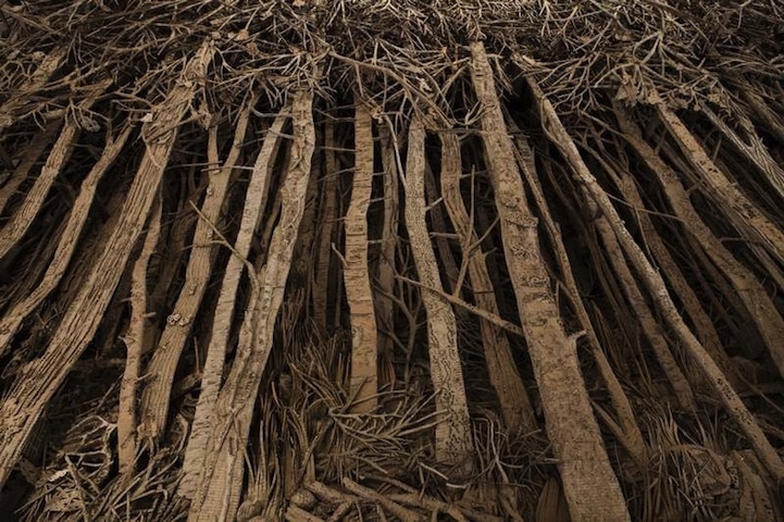 Eva Jospin's Enchanting Forests Crafted Out of Cardboard