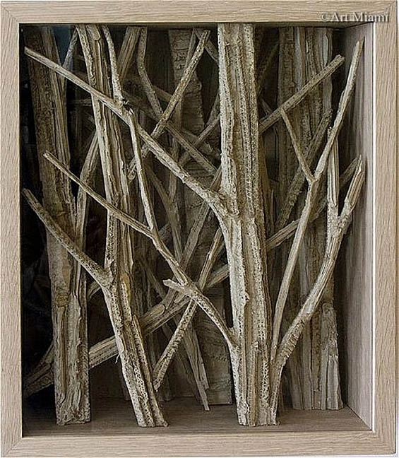 Eva Jospin's Enchanting Forests Crafted Out of Cardboard