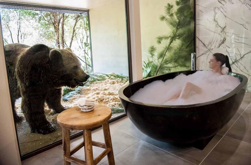 A new hotel in Australia lets you dine with lions and take a bath next