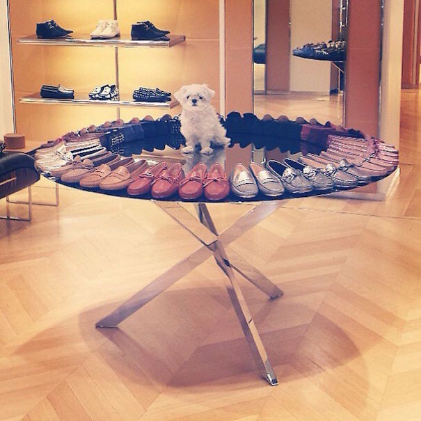 Rich Dogs Of Instagram*: The Proof That Pups Live Better Than Humans