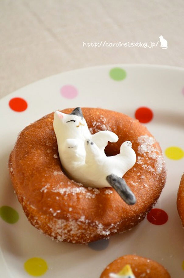 Adorable Cat-Shaped Sweets Inspired By My Cat Apelila