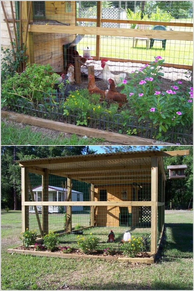 8. A Chicken Coop Garden Shed 