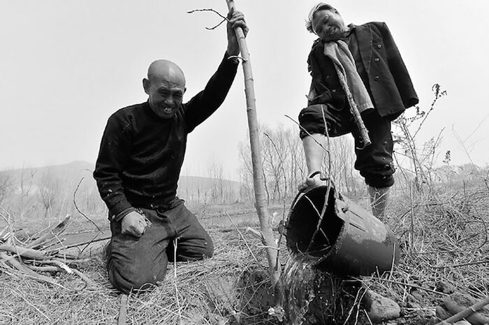 Haixia and Wenqi have spent 10+ years replanting trees in Yeli Village in northeastern China