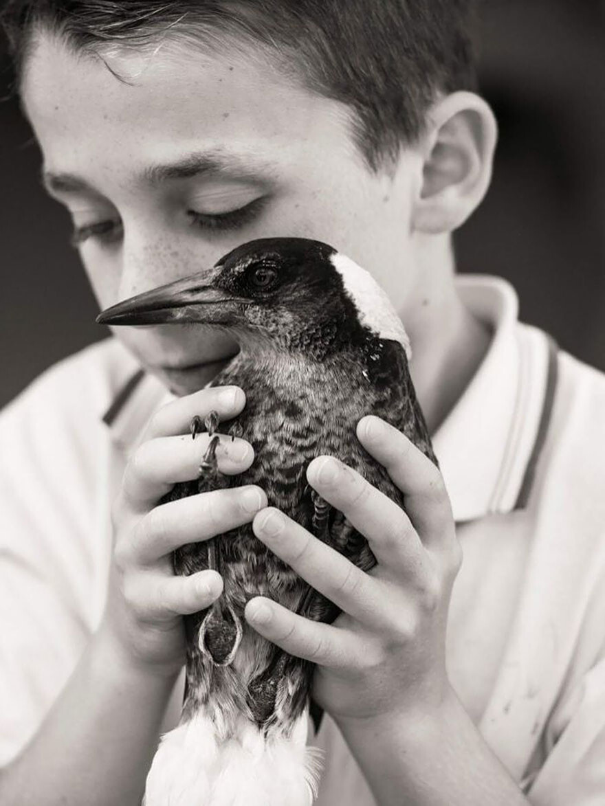 Rescued Magpie Becomes Friend With The Family That Saved Her Life