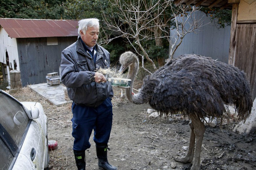 The Radioactive Man Who Returned To Fukushima To Feed The Animals