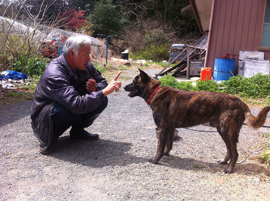 His supporters are calling him the ‘guardian of Fukushima’s animals’