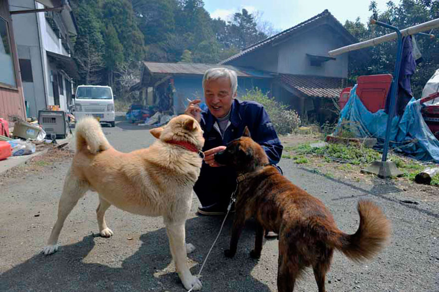 The Radioactive Man Who Returned To Fukushima To Feed The Animals