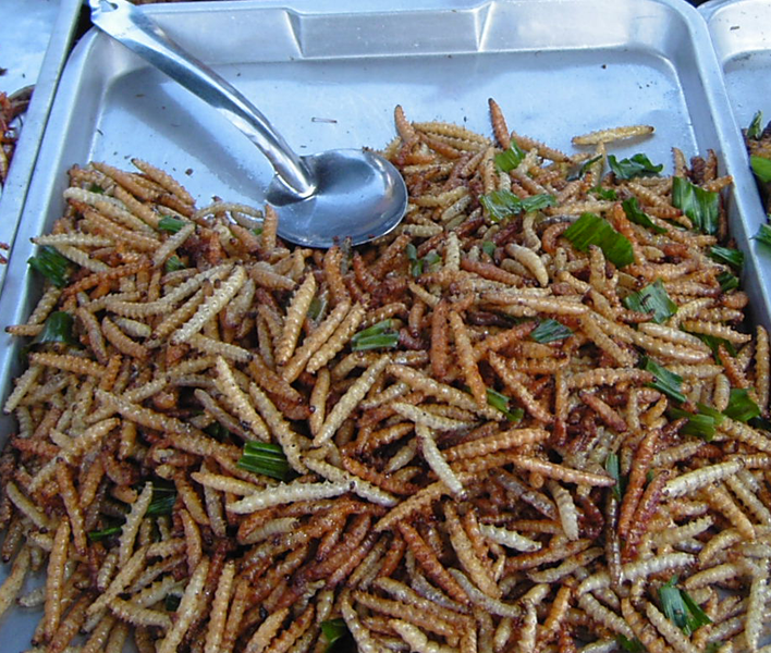 3. Bamboo Worms.