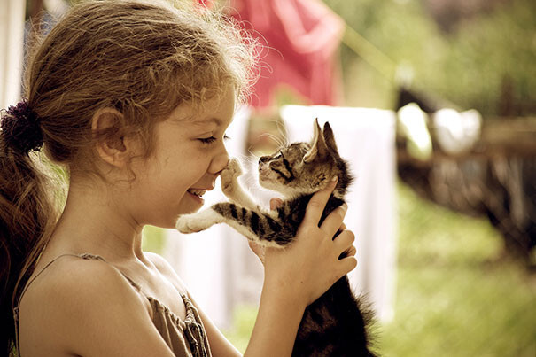 Adorable photos proving that your kids need a cat 