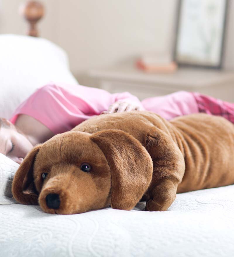 5. Allergic to dogs? This puppy can cuddle almost as well as the real thing.