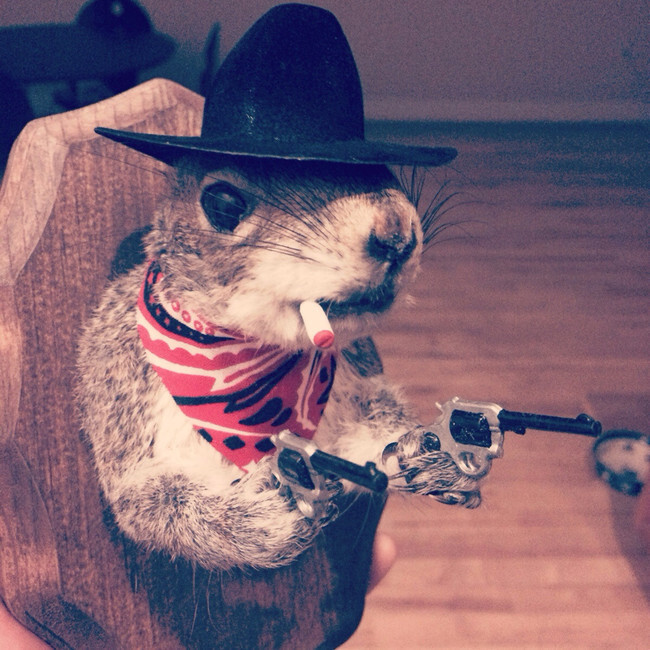 This taxidermied squirrel obtained to scare off people from touching the liquor cabinet.