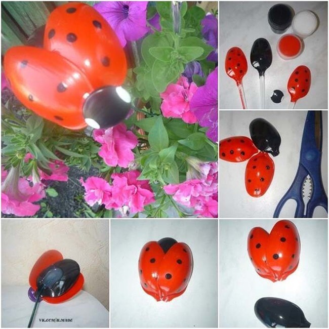 Garden ladybugs