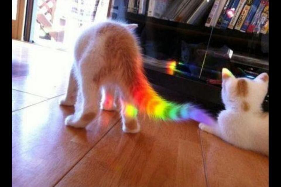"I'm stalking you, Rainbow. You'll never catch me!"