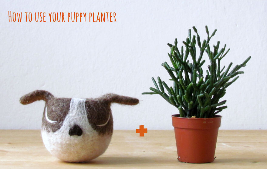 Animalplanters Turn Your Flower Pots Into Cute Animals