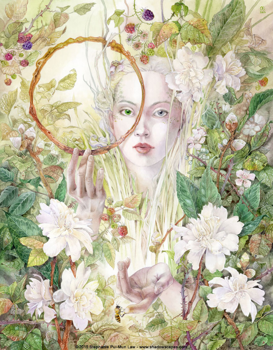 Watercolor Paintings Of Plants And Animals By Stephanie Law