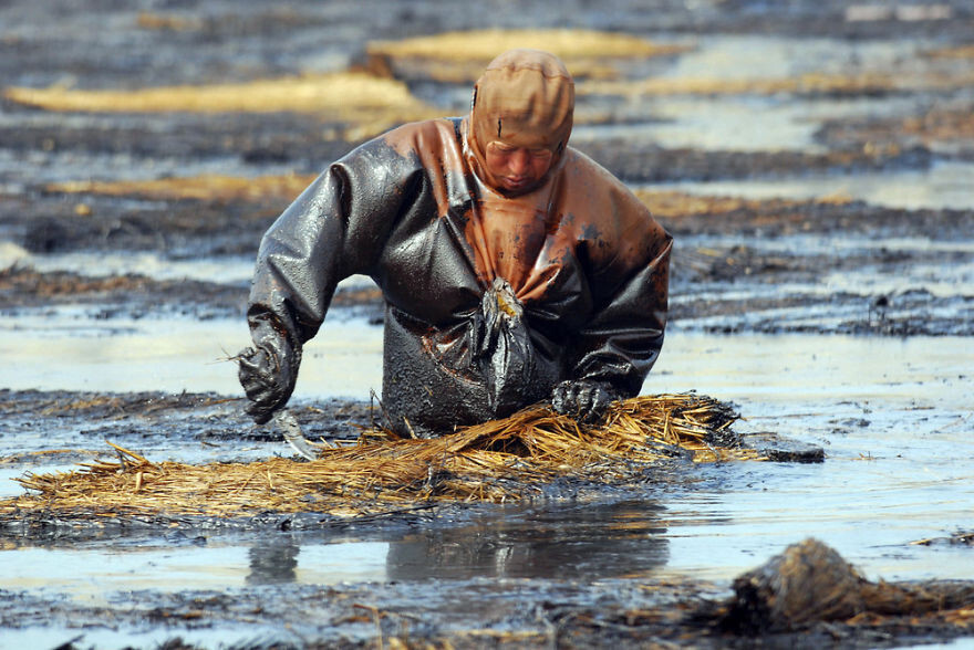 Man Cleans Up Oil Spill In Dalian Port, Liaoning