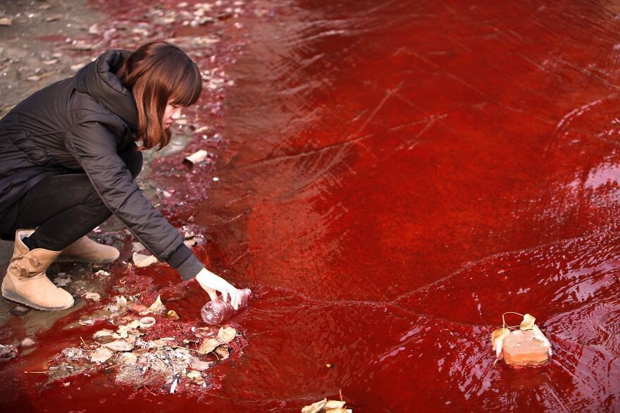 Journalist Takes A Sample Of Polluted Red Water From Jianhe River