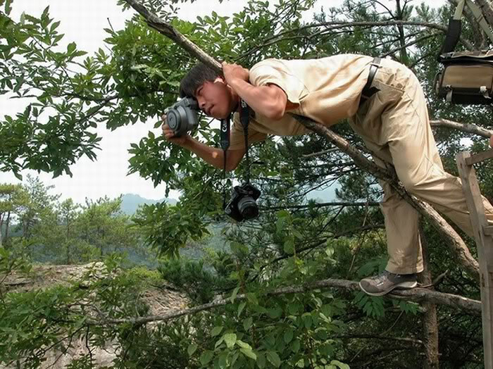 55 Crazy Photographers Who Will Do ANYTHING For The Perfect Shot