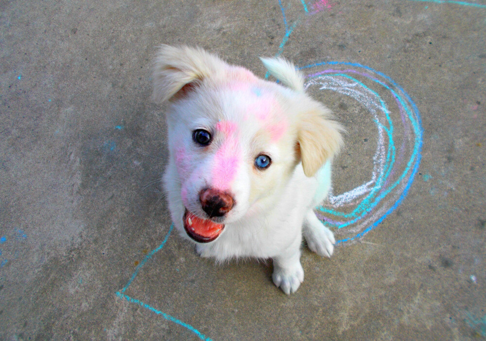 This colorful cutie playing with some chalk.