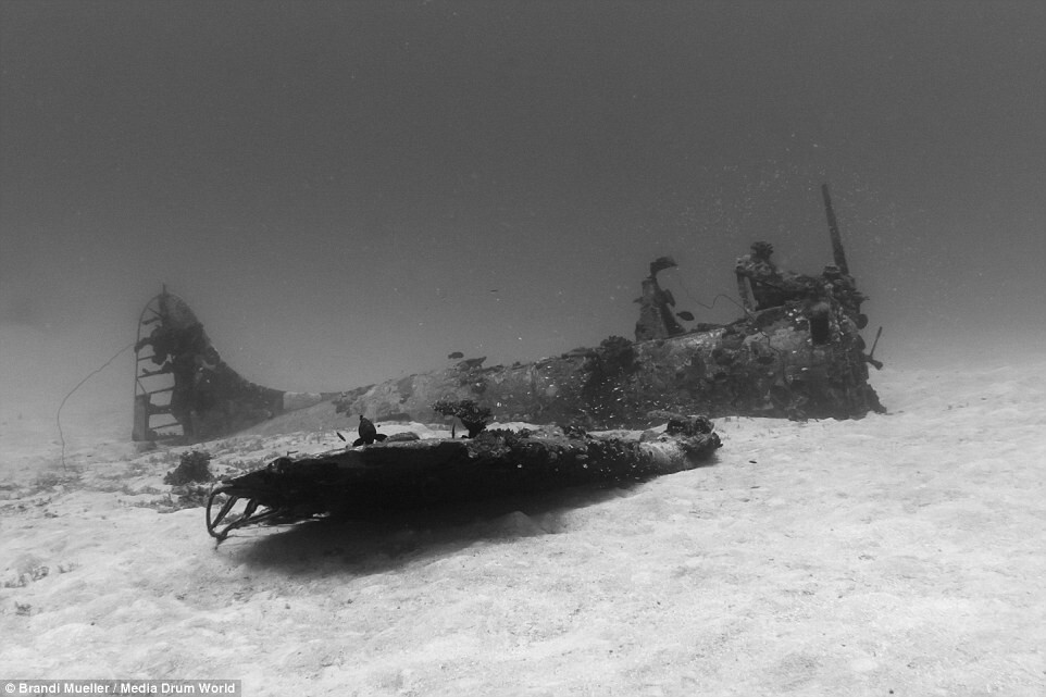 Scuba Diver Captures the Ghostly Underwater Graveyard of Lost Planes