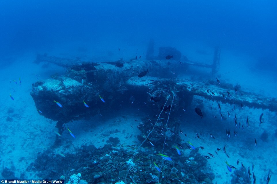 Scuba Diver Captures the Ghostly Underwater Graveyard of Lost Planes
