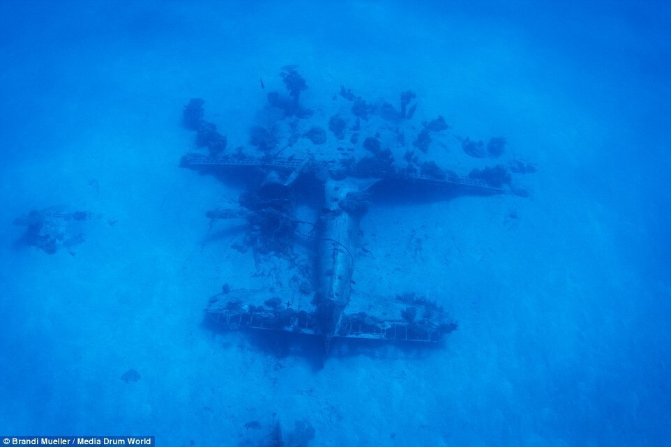Scuba Diver Captures the Ghostly Underwater Graveyard of Lost Planes