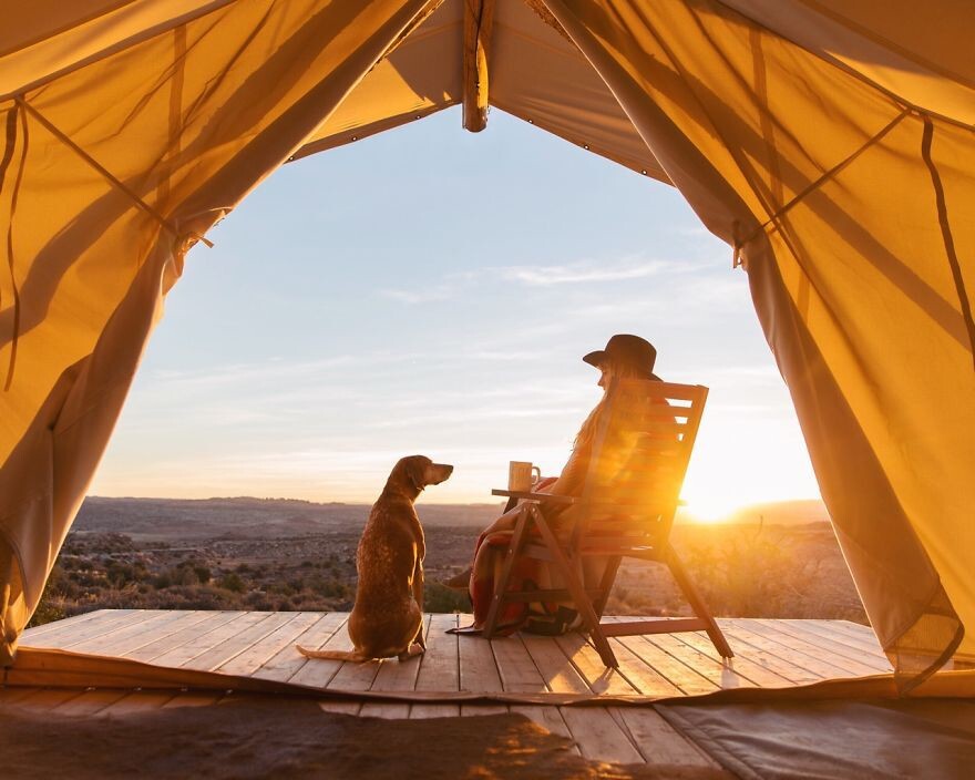 Photographer Takes His Rescued Dog Maddie On Epic Adventures