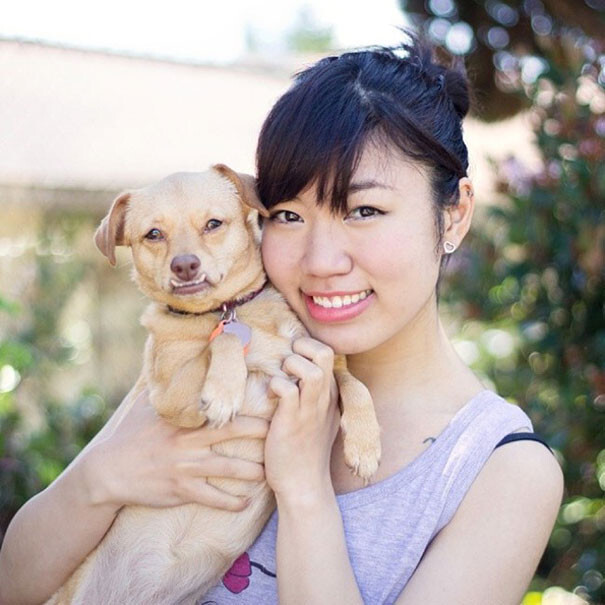 I Saved A Dog From Euthanasia And Now She Happily Runs In A Wheelchair