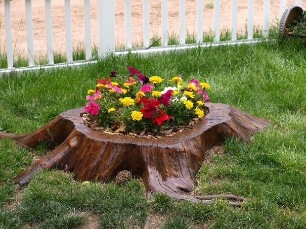 Old Tree Stumps Turned Into Beautiful Flower Planters