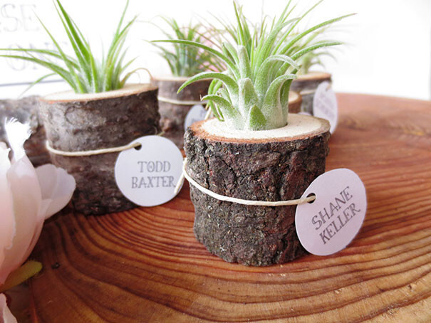 Old Tree Stumps Turned Into Beautiful Flower Planters